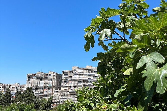 Secret Split: Socialist Architecture & brutalism - Urban Utopia - Why Split 3 matters beyond its concrete walls