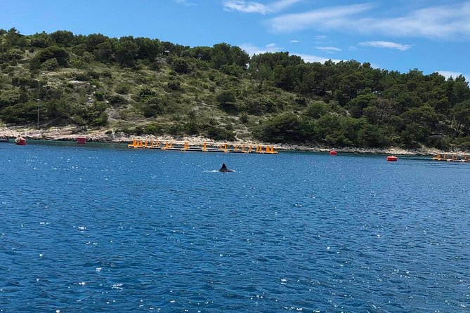 Secrets of Brac and Solta - Off the Beaten Track Croatia - Stomorska is your proper meal break