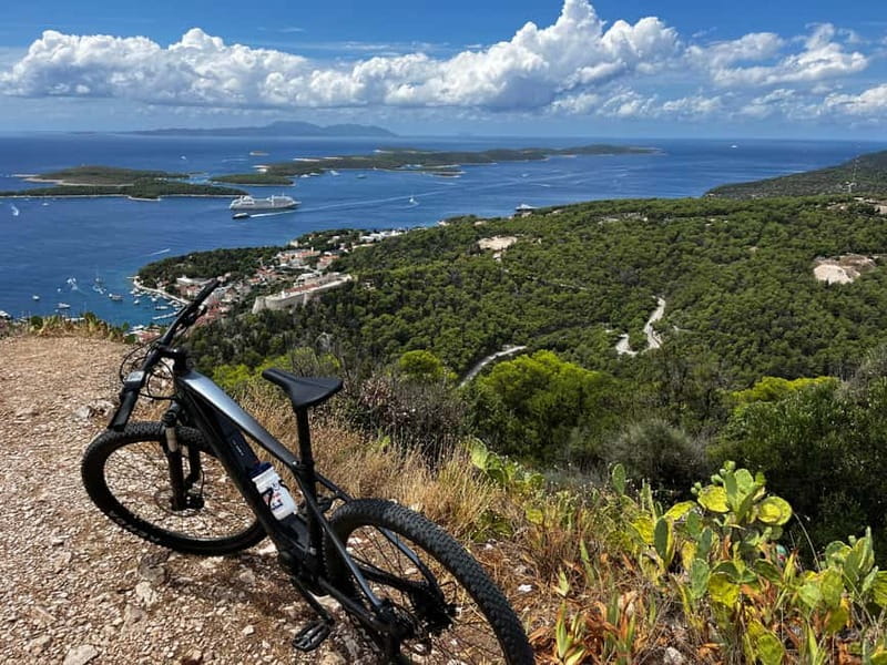 Self-guided mountain bike tour (non-electric) - Riding through lavender country