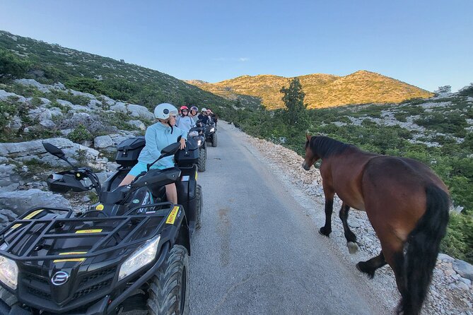Skywalk Biokovo ATV Quad Tour - Who will enjoy this Makarska excursion most