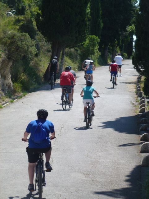 Split 3-Hour Guided Bike Tour - Starting at the harbor and entering Diocletian’s Palace