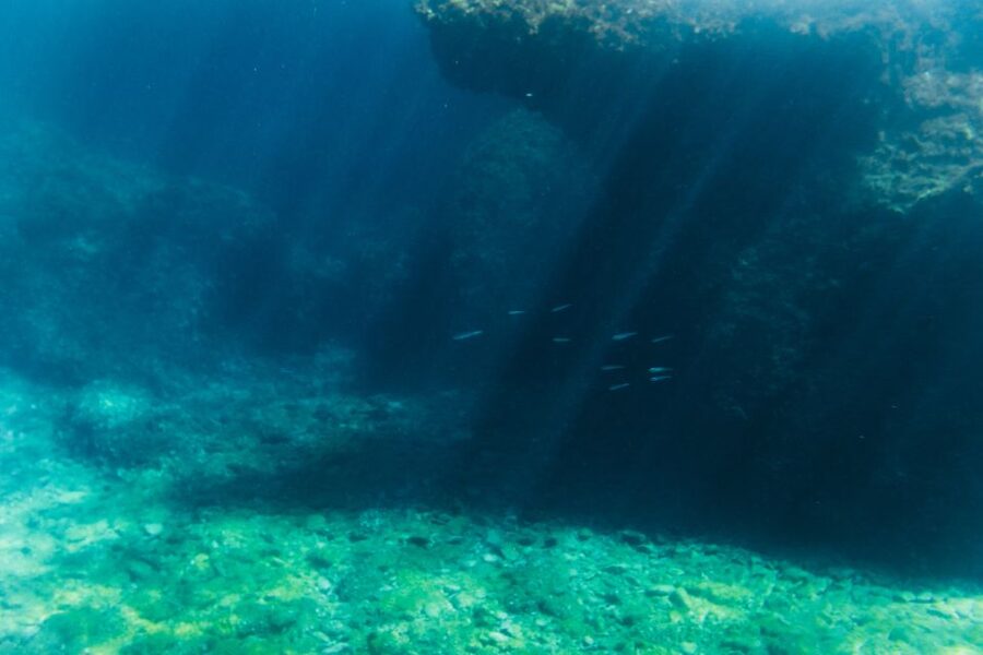 Split: 45-minute Semi-Submersible Submarine Trip - Who will enjoy Marijeta most