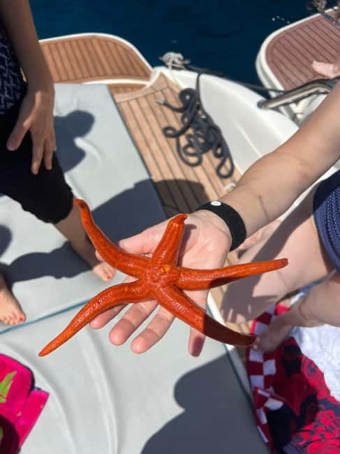 Split: 5 Islands Full-Day Tour to Blue Cave, Vis & Hvar - Key points to know before you book