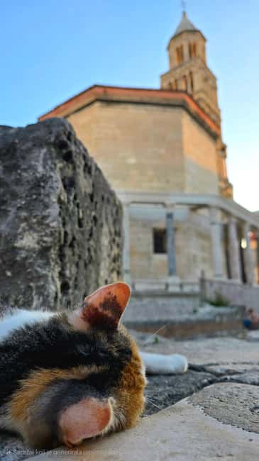 Split and Diocletian's Palace walking tour with a local guid - Following Roman streets through the old town