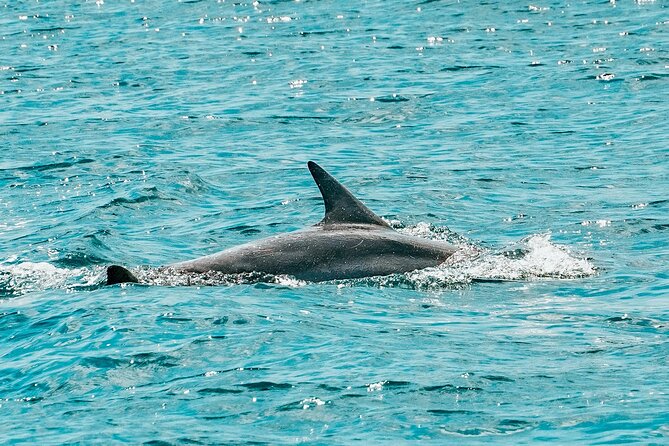 Split: Blue Lagoon & 3 Island Cruise with Wine & Snorkeling - Swimming in the Blue Lagoon