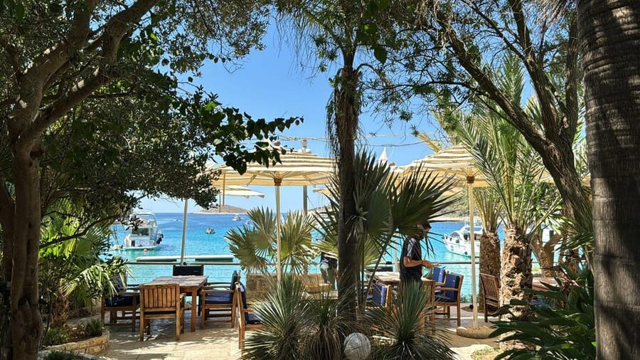 Split: Blue Lagoon, Hvar and 5 Islands Small Group Boat Tour - What to pack and how to use the schedule