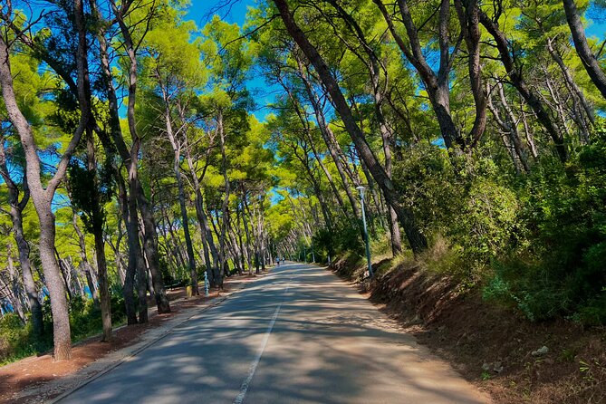 Split by Private Electric Rickshaw - Palace & Hidden Gems - Beaches, sea views, and the Bene break