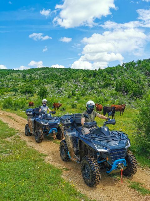 Split: Dalmatian Quad Tour with River Swimming & Picnic - The Cetina River Stop in Summer