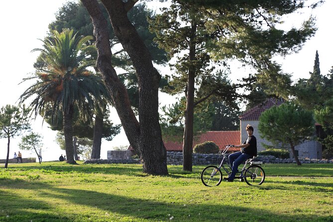 Split Electric Bicycle Tour - Who will enjoy this ride most?