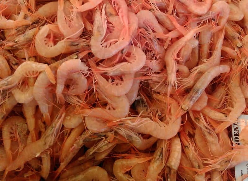 Split: Food Tasting Walking Tour - Peškarija, Split’s old fish market