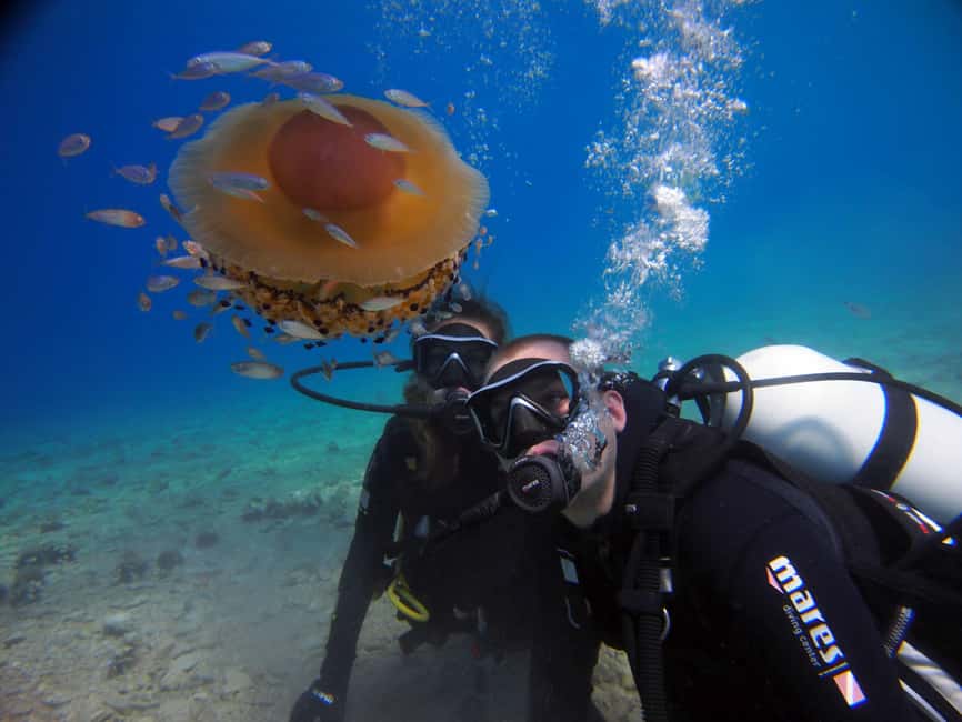 Split-Makarska-Brela Try SCUBA Dive - A first underwater experience built around calm