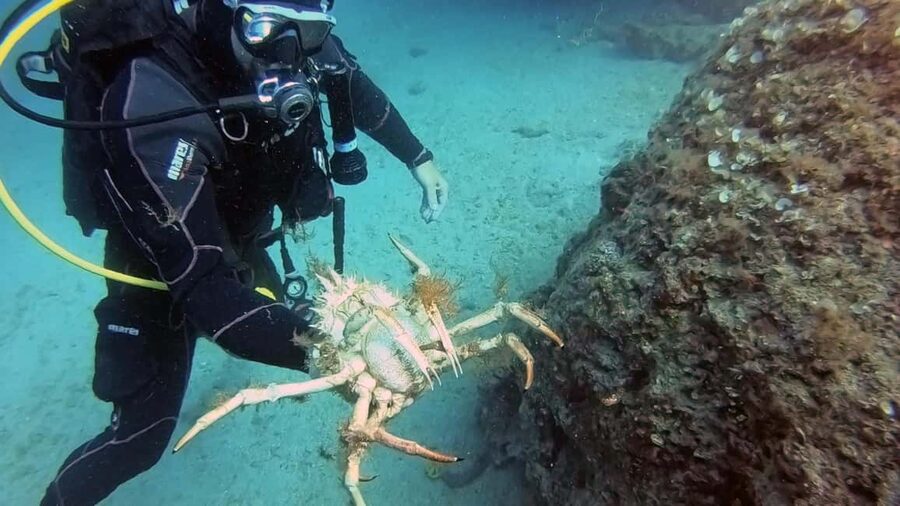Split-Makarska-Brela Try SCUBA Dive - What to bring and what is not included