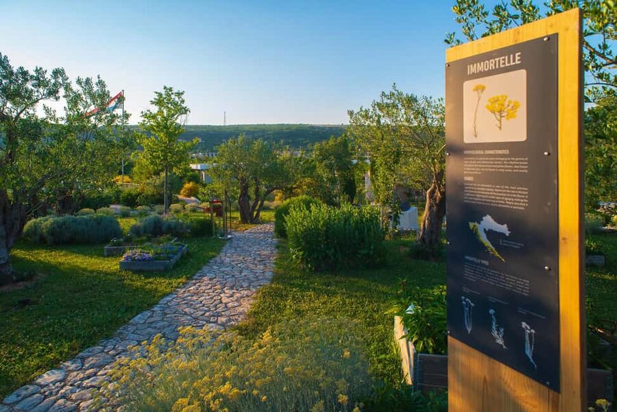 Split: Olive museum Klis with Olive Oil Tasting - A family estate with more than olive oil