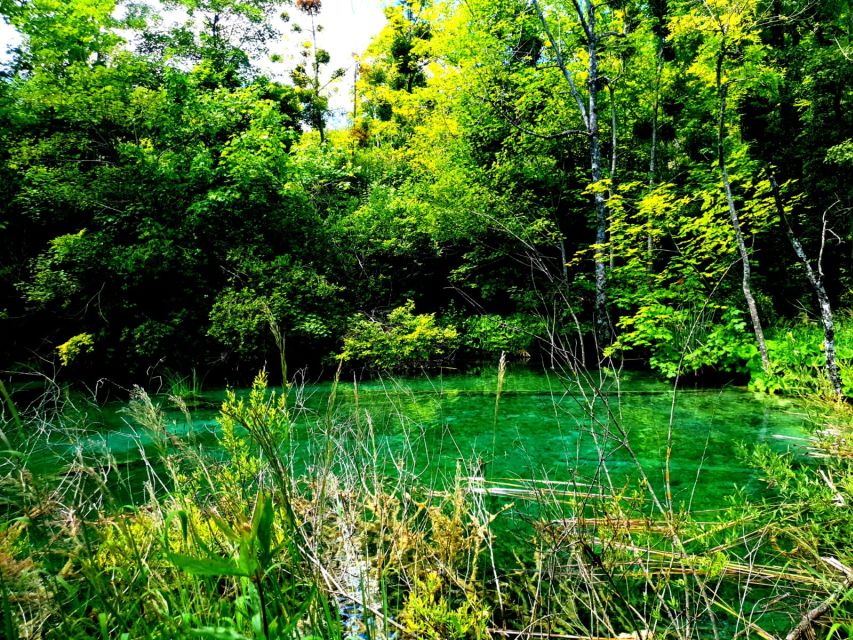 Split: Plitvice Lakes Guided Day Tour with Entry Tickets - The boat ride to the Lower Lakes