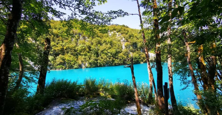 Split: Plitvice Lakes Guided Day Tour with Entry Tickets - The Lower Lakes and the 78-meter Great Waterfall