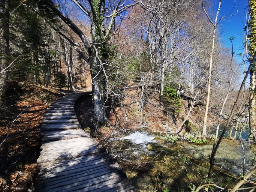 Split: Plitvice Lakes Guided Day Tour with Entry Tickets - What the guides add to the day