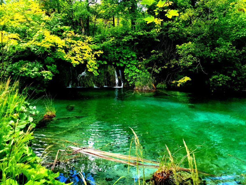 Split: Plitvice Lakes Guided Day Tour with Entry Tickets - Food, clothing, and weather at Plitvice