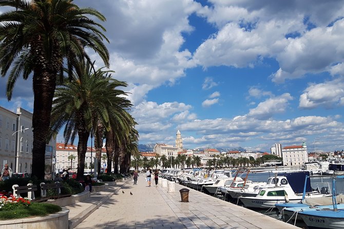 SPLIT-PRIVATE Walking Tour of Diocletian's Palace & Old Town - Why Split’s palace is also its old town