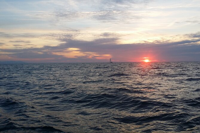 Split: Small-Group Half Day Sailing Trip - Key points to know before you sail