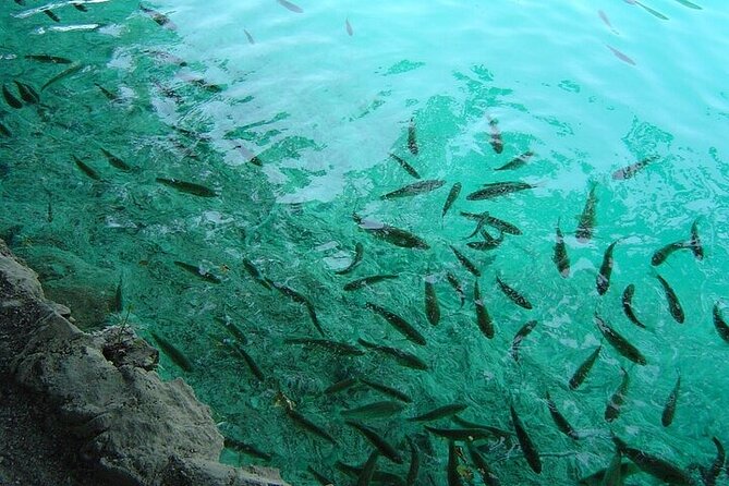 Split to Zagreb or airport Zagreb via Plitvice lakes for singles or couples - Four hours among the Plitvice Lakes