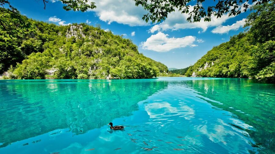 Split: Transfer to Zagreb with Plitvice Lakes Entry Tickets - Four and a half hours among Plitvice’s 16 lakes