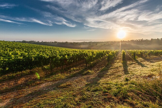 Split/Trogir/Kastela: Krka Private Tour - option: Wine Tasting - A sweet finish at Bačvice Beach