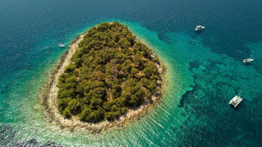Split & Trogir: Private Blue Lagoon & Wine Tasting Boat Tour - Who should book this Dalmatian boat tour?