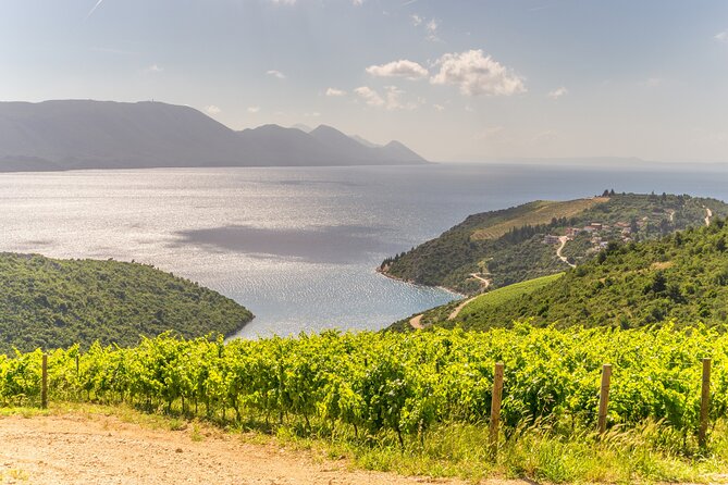 Transfer Split to Dubrovnik with Sightseeing in Ston Town - The main drawback: the schedule may not suit every plan