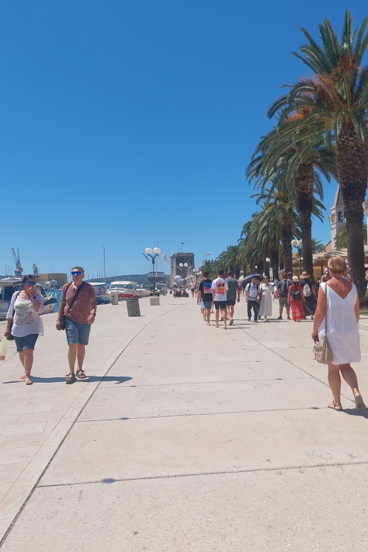 Trogir: City Highlights Guided Walking Tour - Who will get the most from this tour