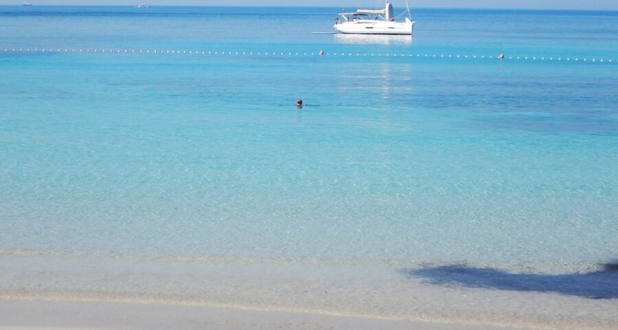 Trogir: White Lagoon, Maslinica & Blue Lagoon Speedboat Tour - A Full Day Across Three Dalmatian Island Stops