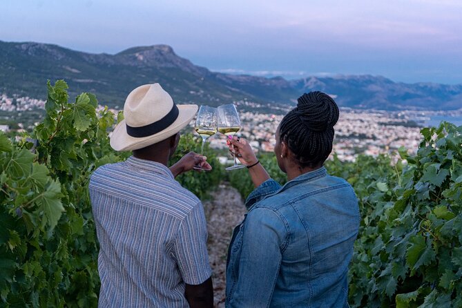 Vineyard Experience: Wine Tasting near Split - Key Points to Know Before You Book