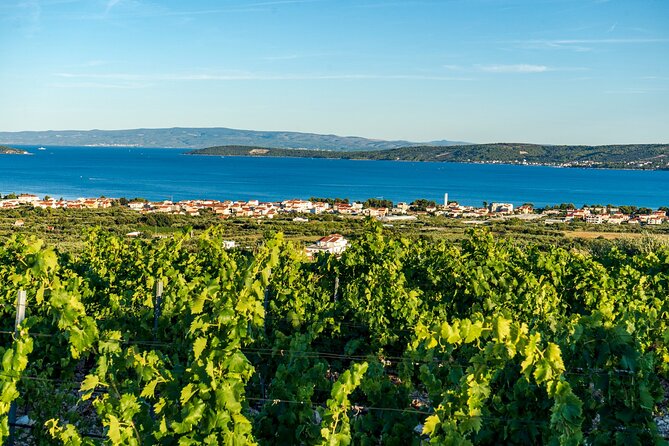 Vineyard Experience: Wine Tasting near Split - From Split’s Golden Gate to the Hills Above Kaštela