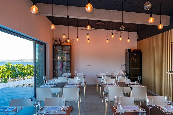 Vineyard Experience: Wine Tasting near Split - What Makes the Family Vineyard Worth the Trip