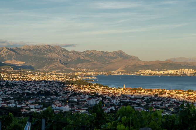 Vineyard Experience: Wine Tasting near Split - Timing, Weather, and Practical Comfort