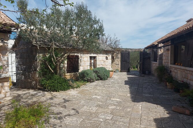 Visit Ancient Salona, Mighty Klis Fortress and Stella Croatica - Stella Croatica, olive trees and local products