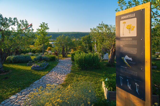 Visit Klis fortress GOT & Olive museum Klis - Who will get the most from this outing?