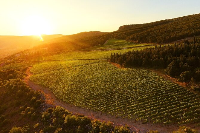 Wine Tasting Grabovac Tour From Makarska - Practical booking advice for Makarska
