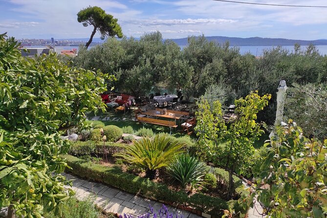 Zinfandel Wine Tasting & Storytelling with Dalmatian Food - Is $178.84 a fair price?